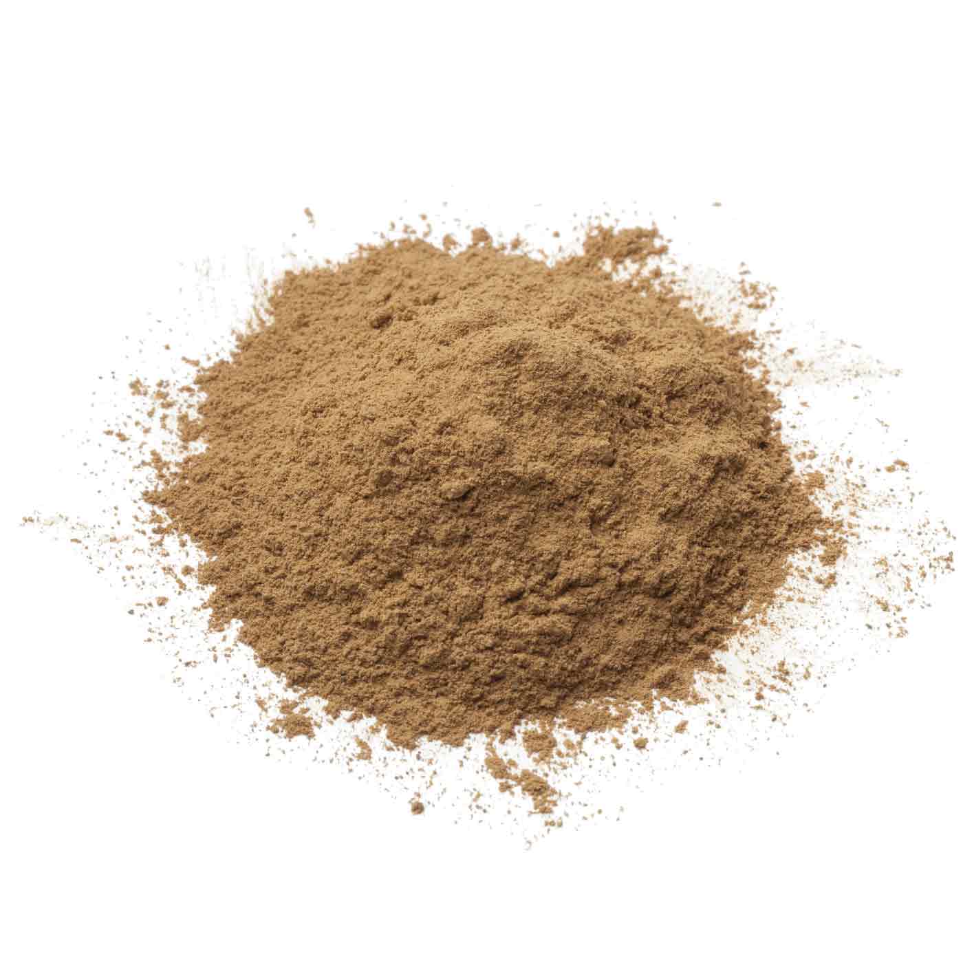 Cordyceps en Poudre Bio 150g - Image 6