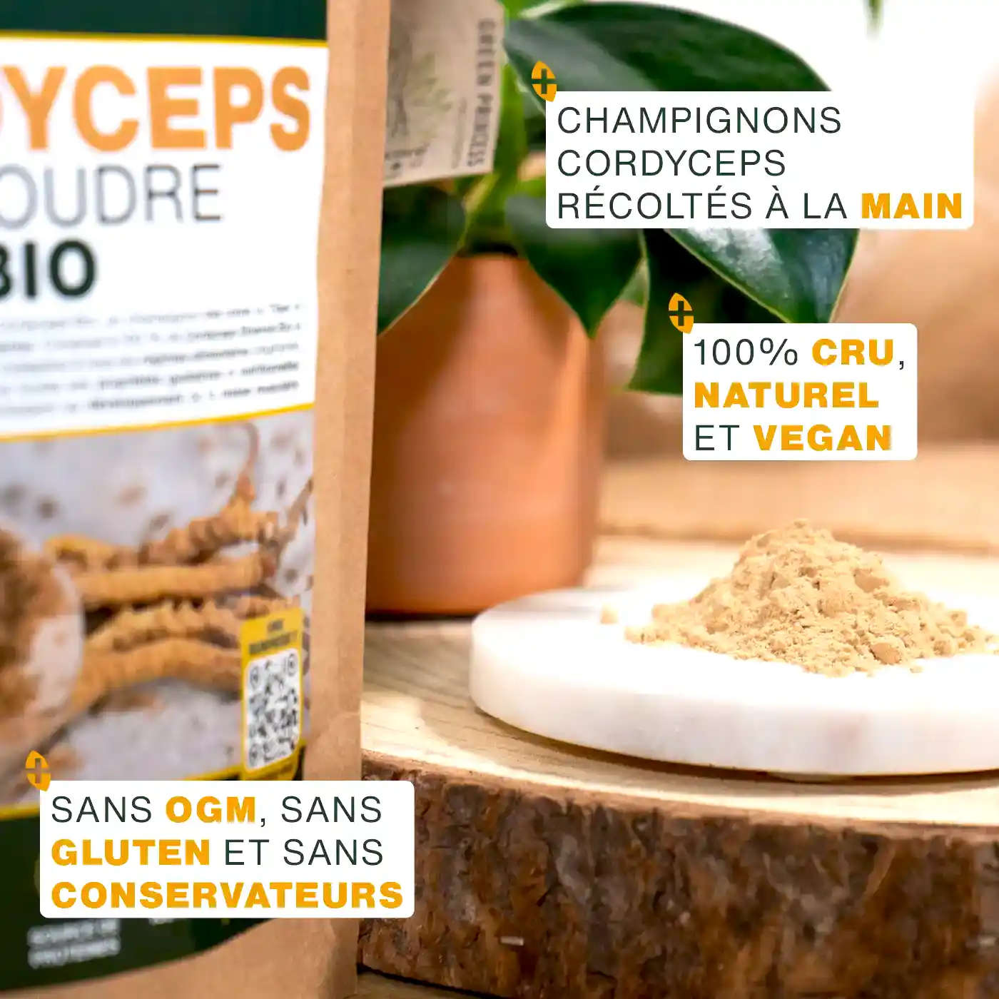 Cordyceps en Poudre Bio 50g - Image 3