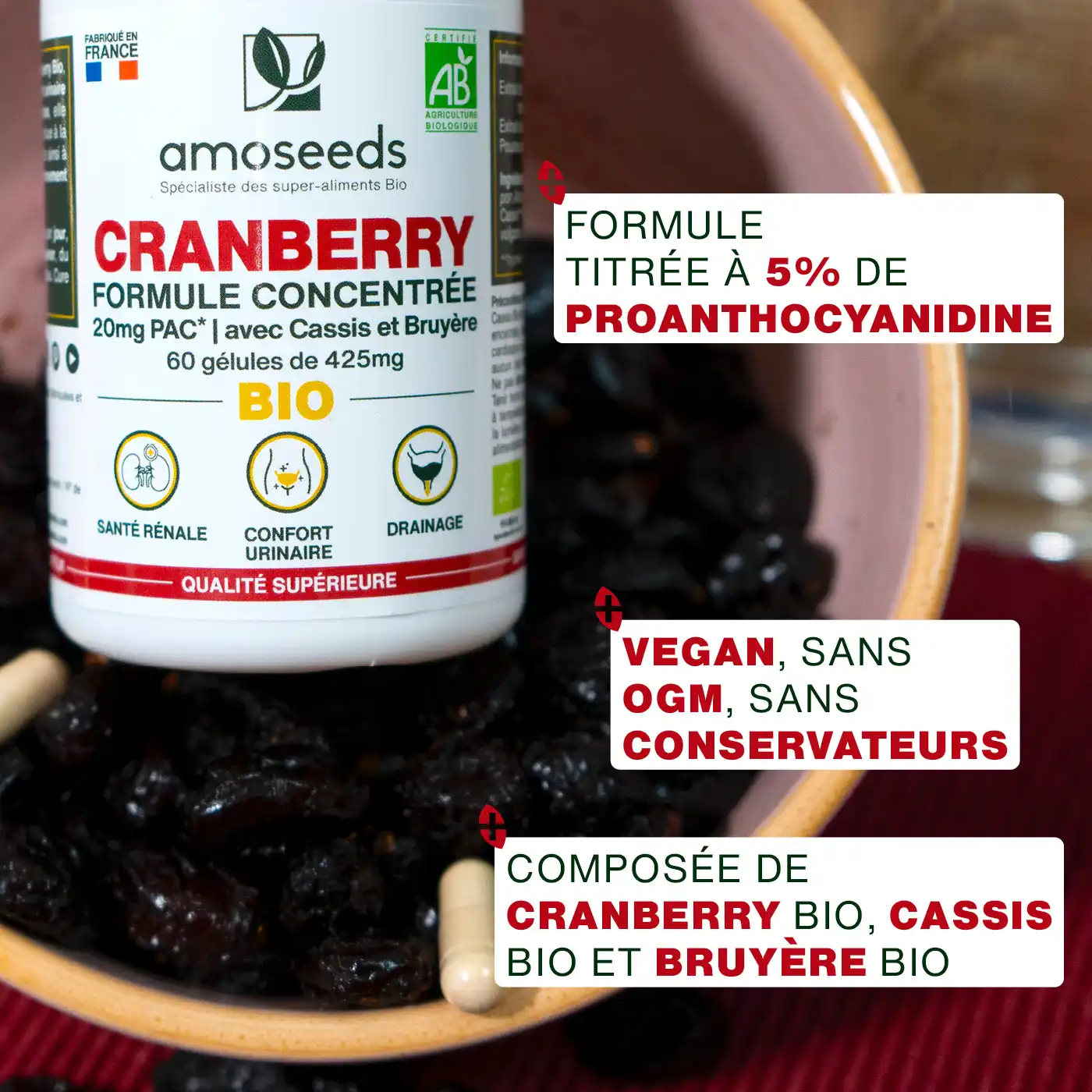 Cranberry Bio, 5% PAC, Formule avec Cassis et Bruyère Bio | 60 gélules - Image 3