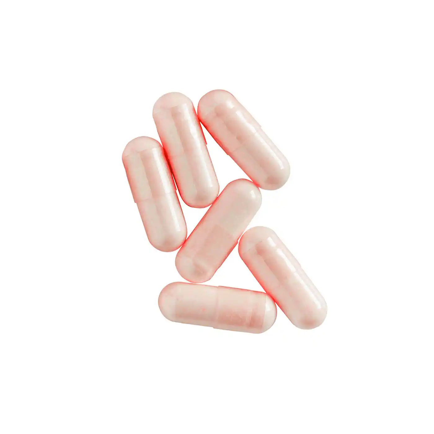 Cranberry Bio, 5% PAC, Formule avec Cassis et Bruyère Bio | 60 gélules - Image 5