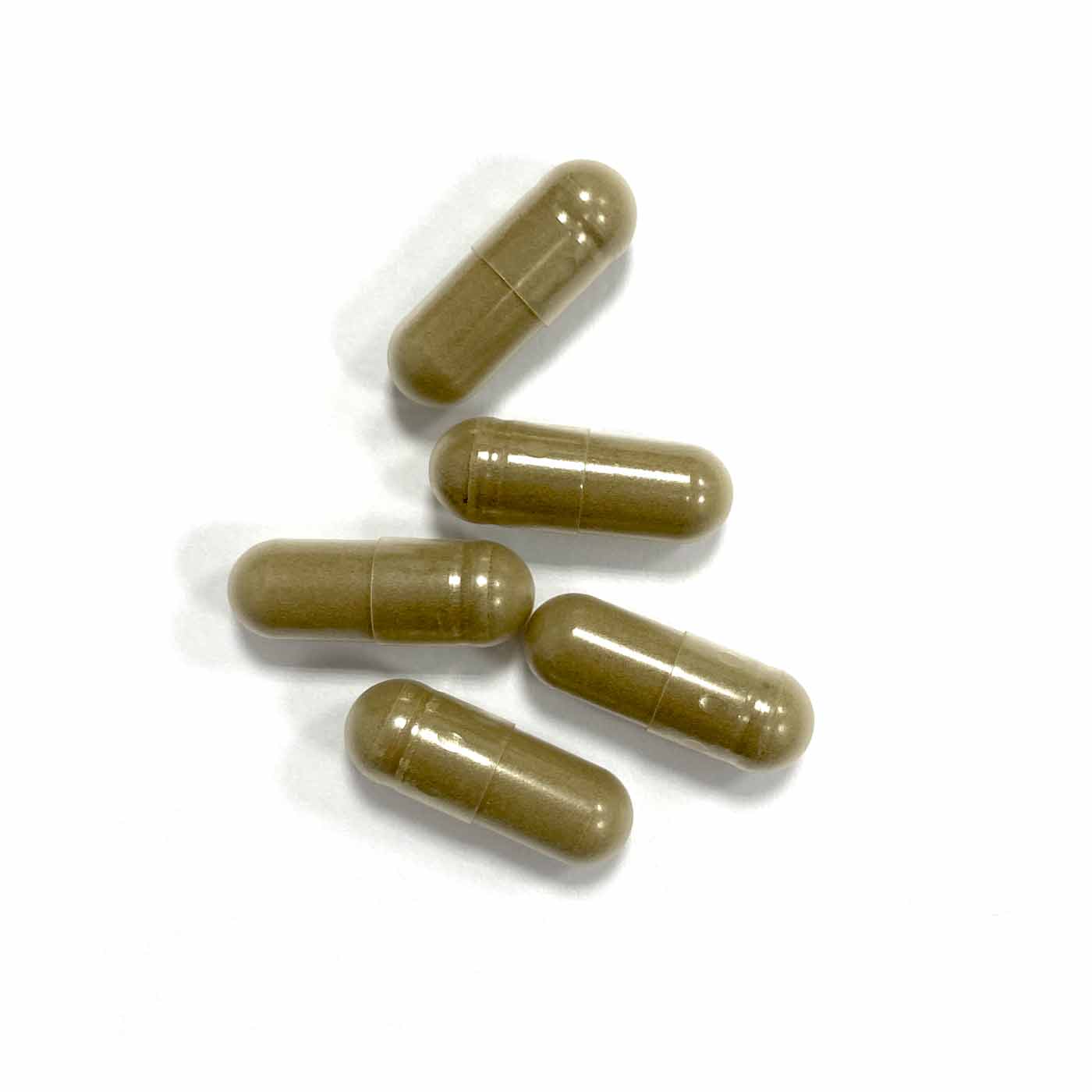 Harpagophytum Bio, Extra Fort, 2,7% Harpagosides | 60 gélules - Image 5