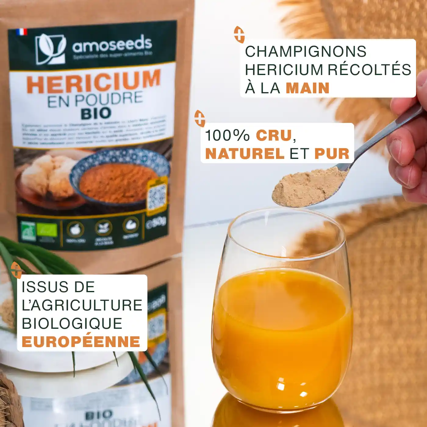 Hericium en Poudre Bio 50g - Image 3