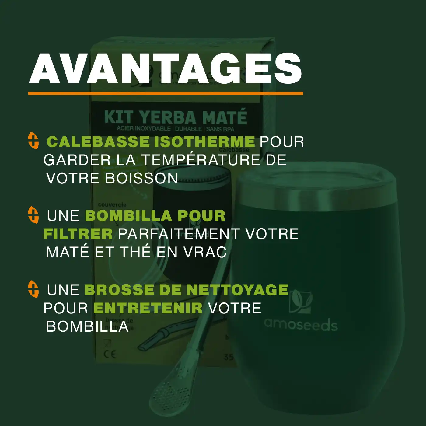 Kit Maté | Calebasse et Bombilla - Image 5