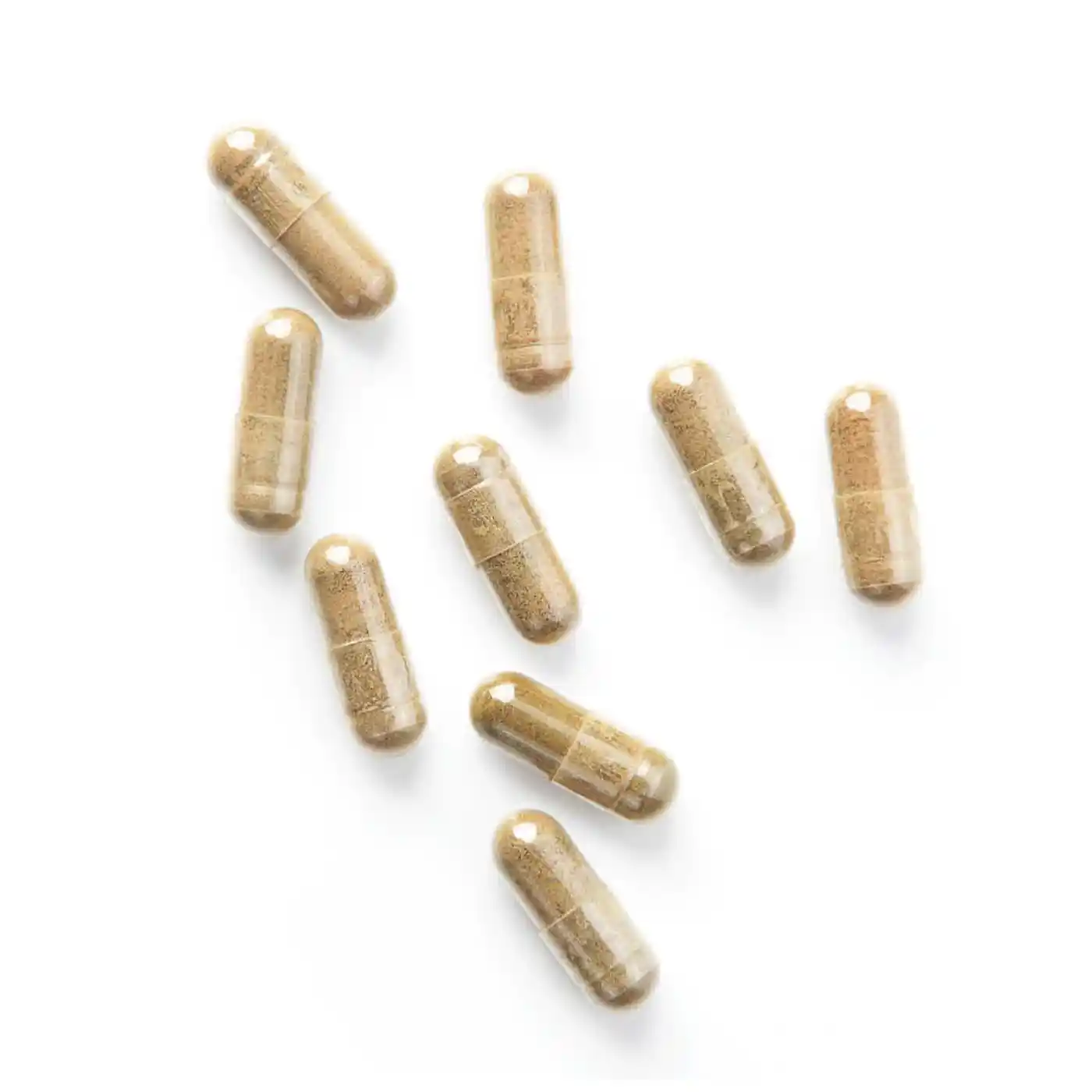 Levure de Riz Rouge Bio | 90 gélules - Image 5