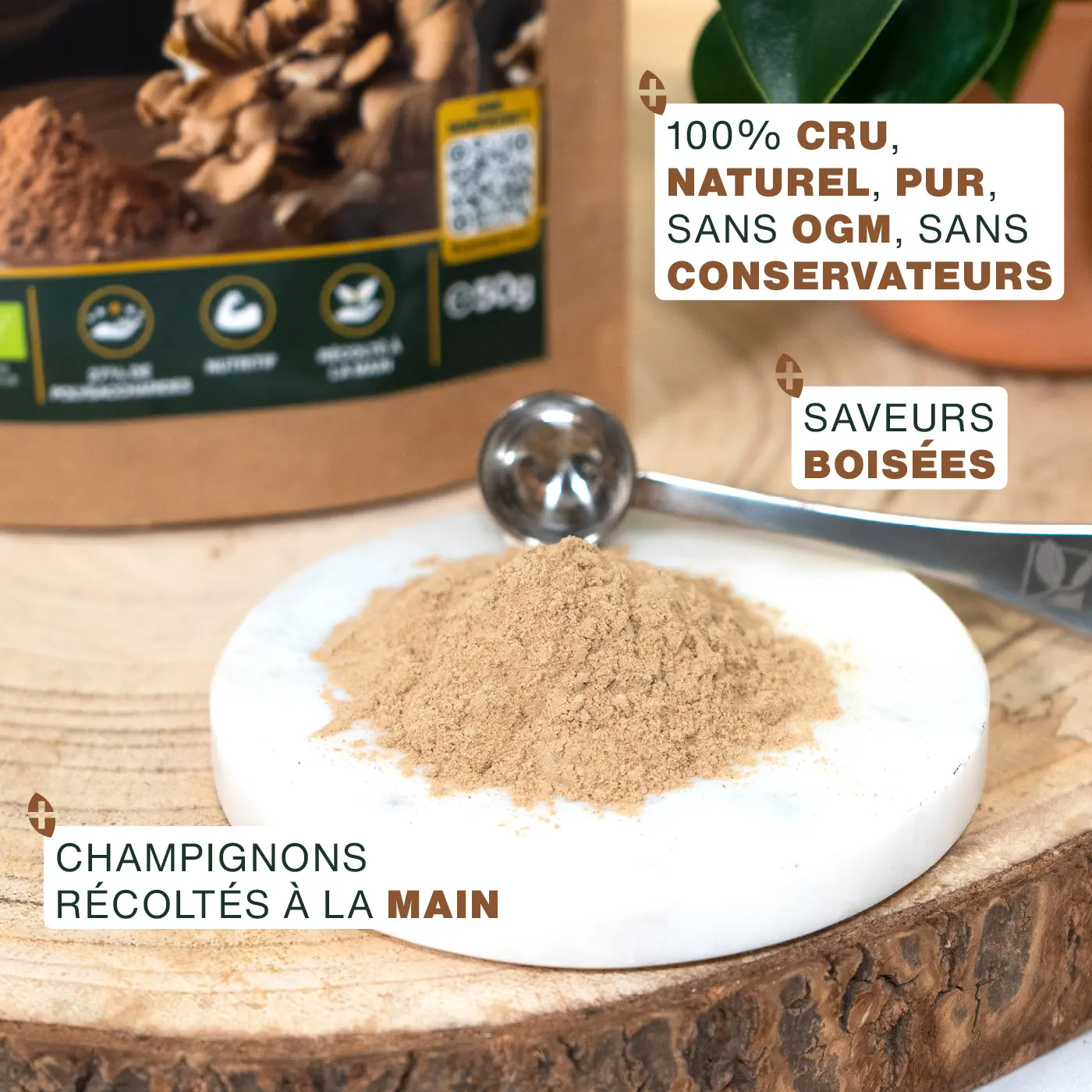 Maïtaké en poudre Bio 150G - Image 3
