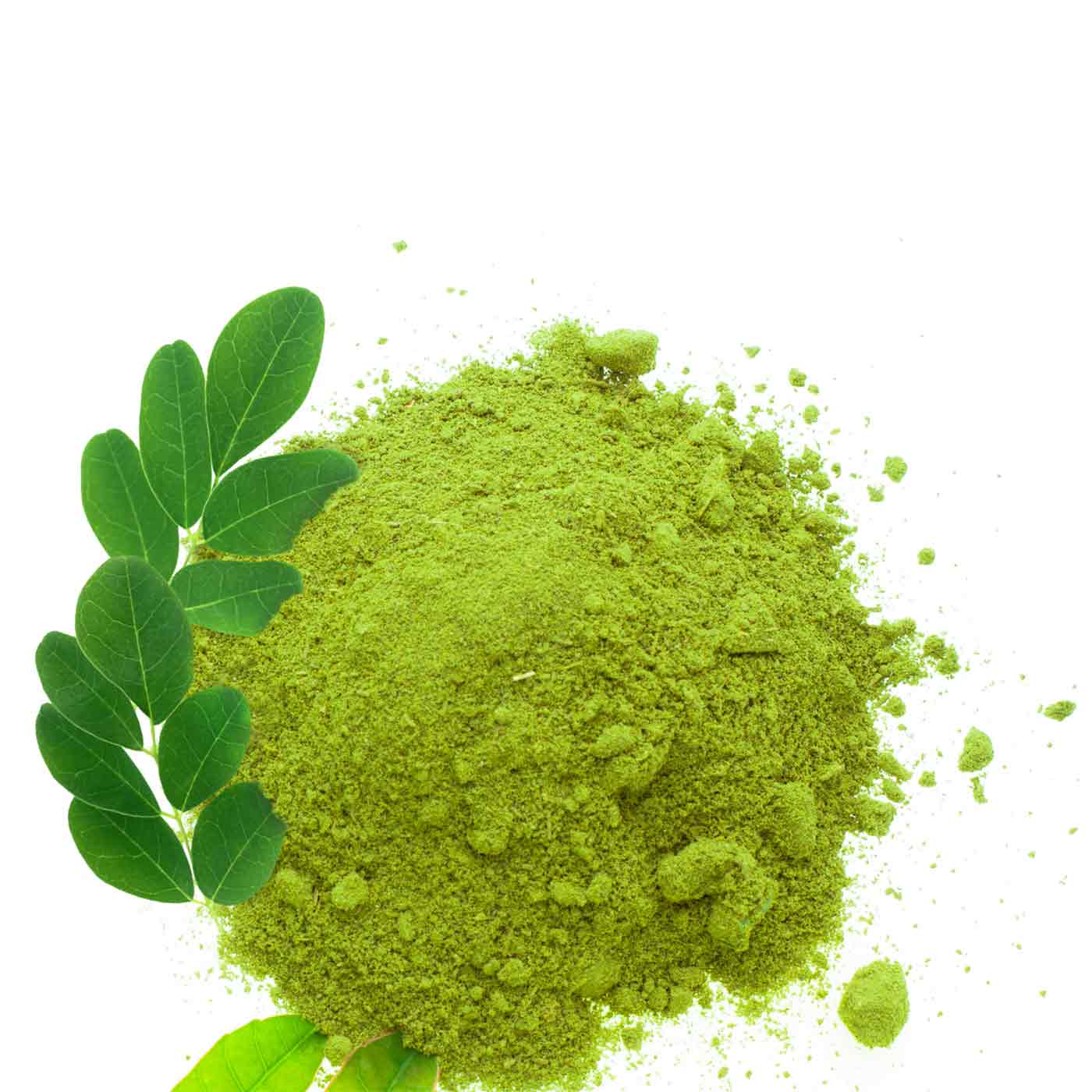 Poudre de Moringa Bio 1KG - Image 5