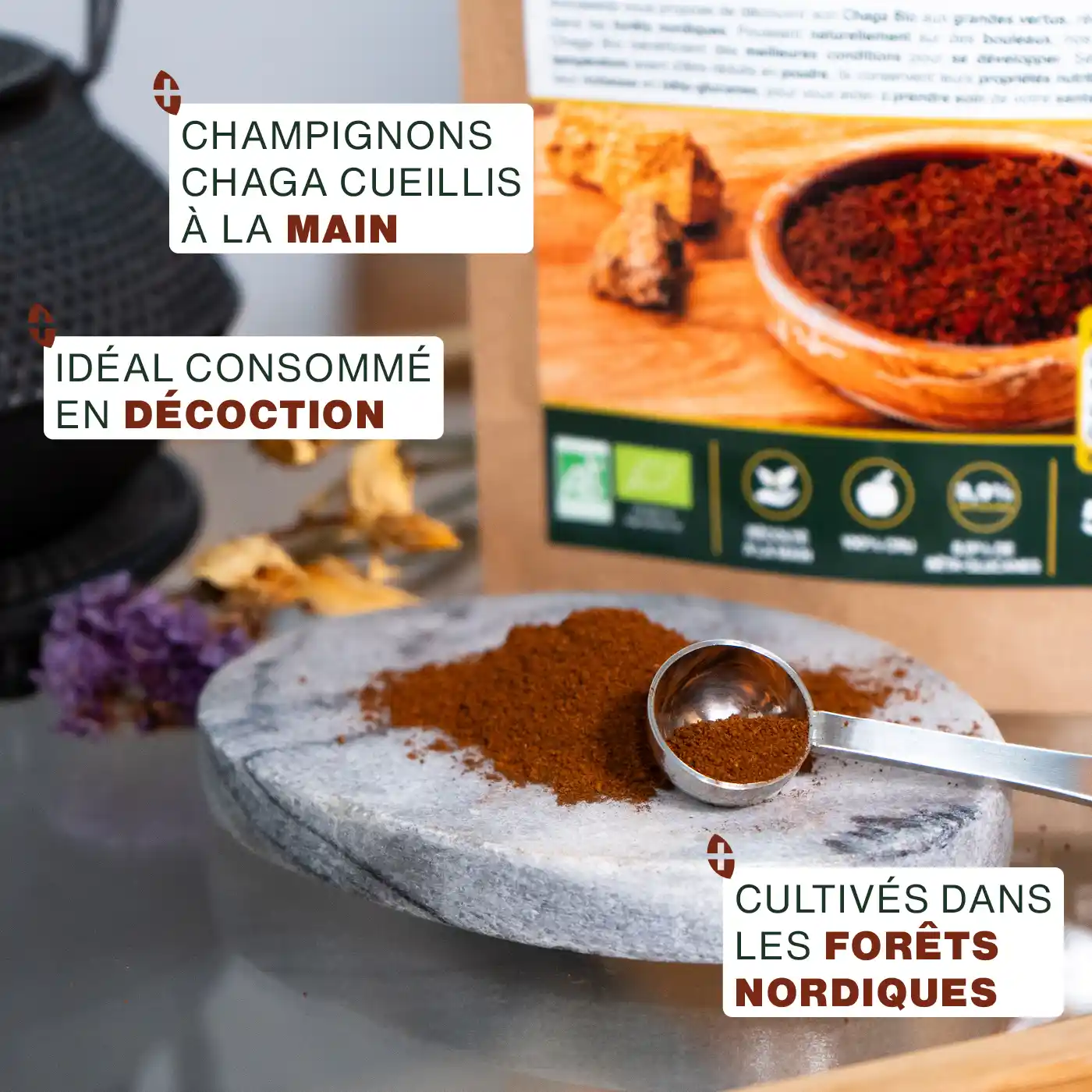 Poudre de Chaga Bio 150g - Image 3