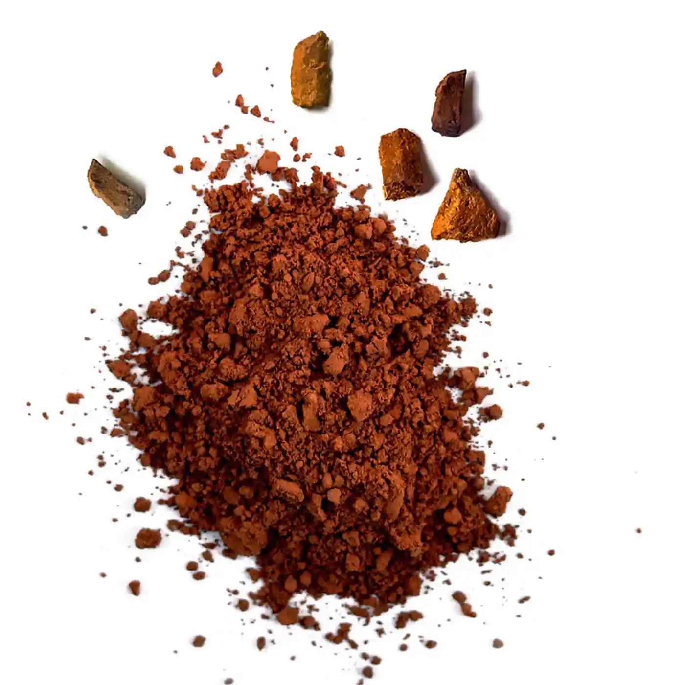 Poudre de Chaga Bio 50g - Image 5
