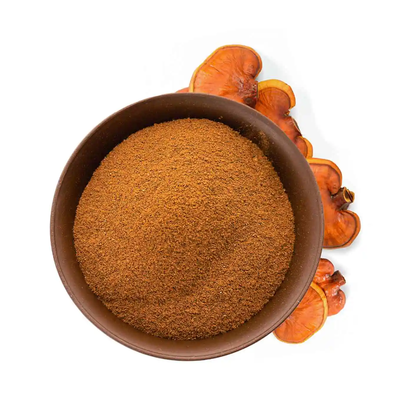Reishi en Poudre Bio 50g - Image 6