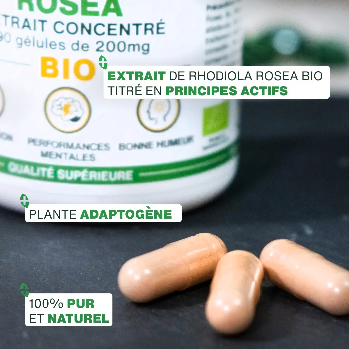 Rhodiola Rosea Bio | 90 gélules - Image 3