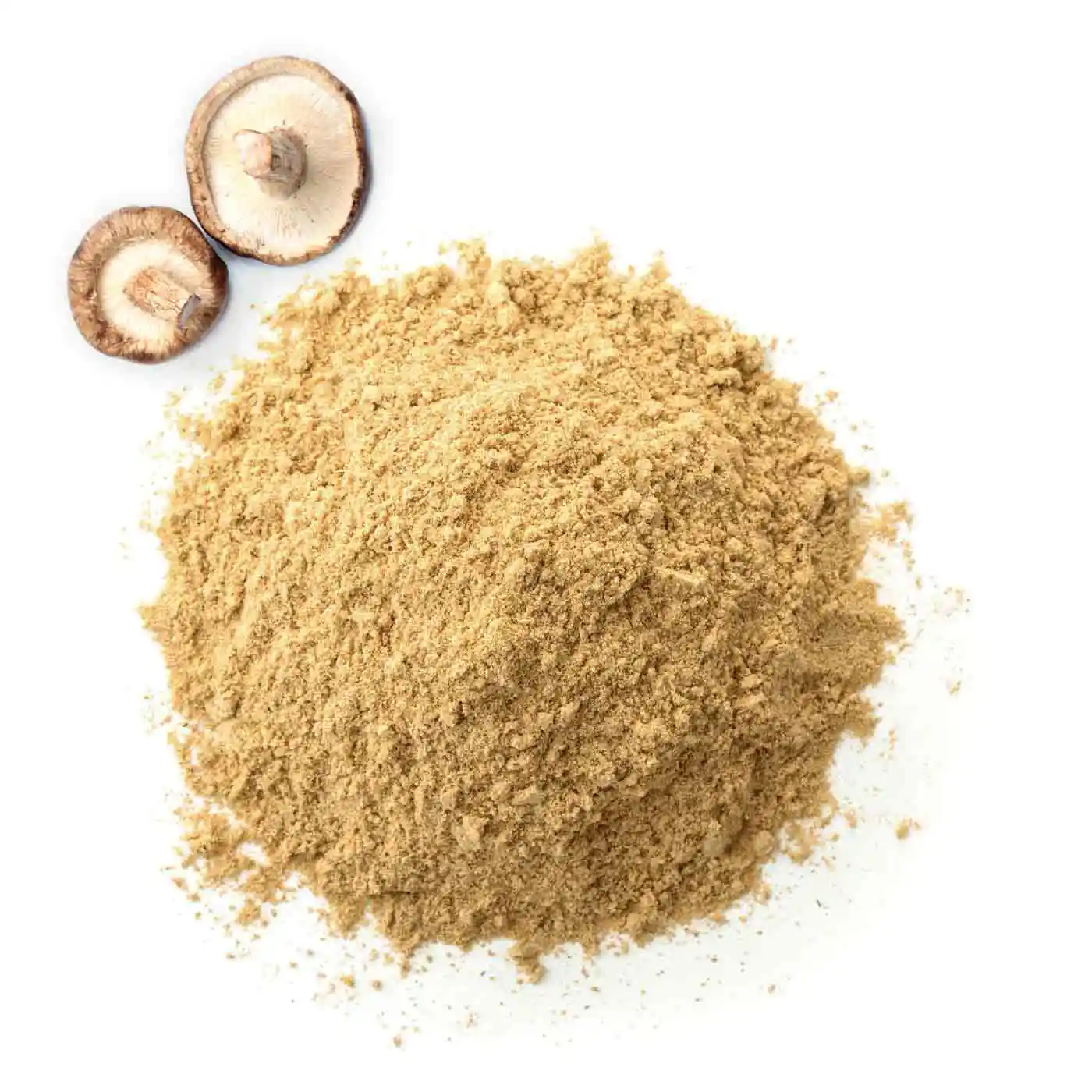 Shiitaké en Poudre Bio 50g - Image 6