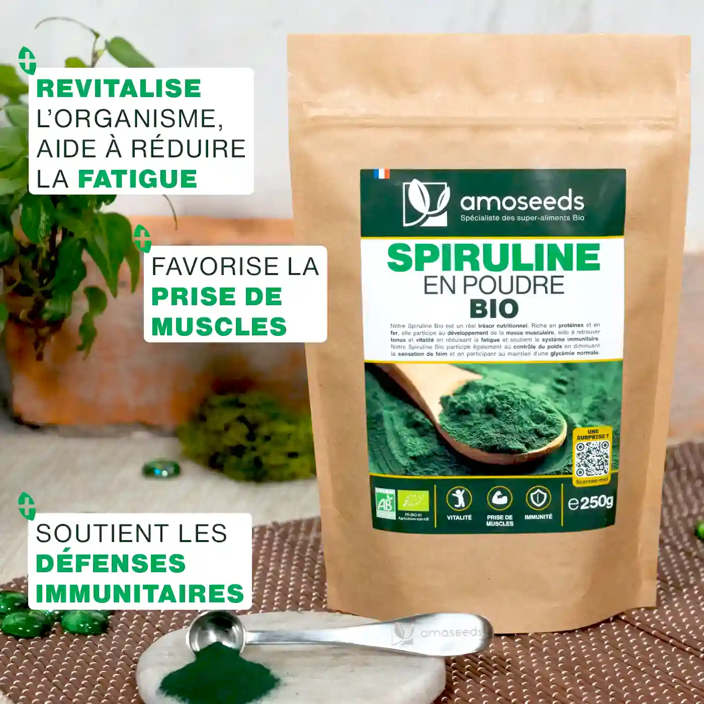 Spiruline en poudre Bio 250G - Image 2